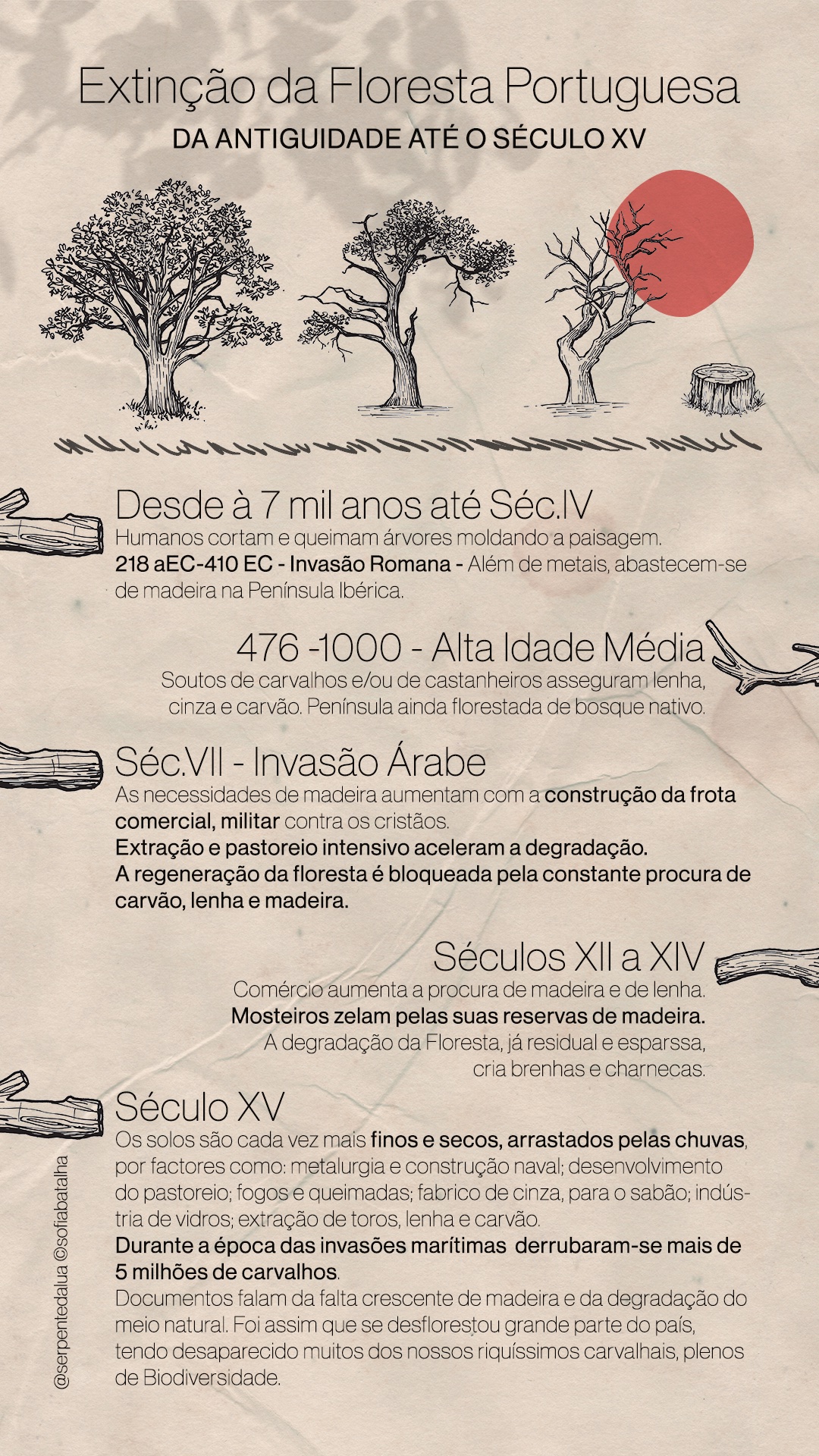 forest infographic_V2