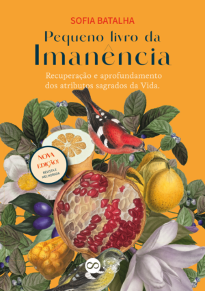 O Pequeno Livro da Imanência