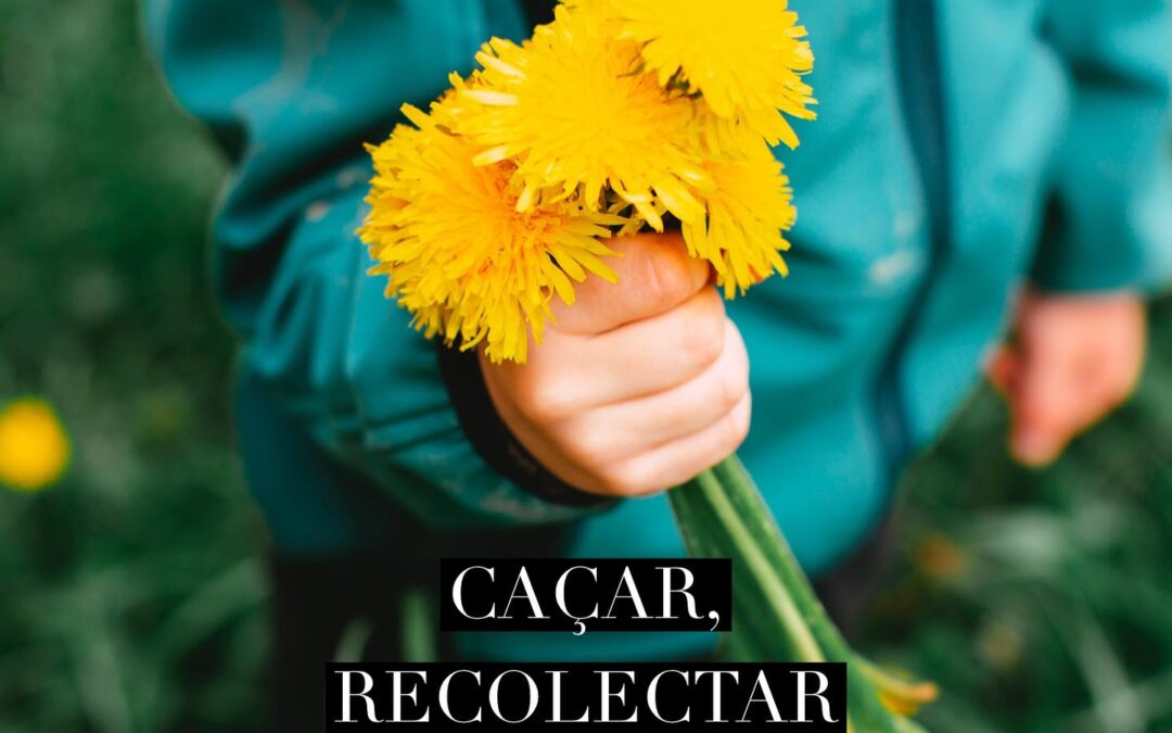 Caçar, recolectar e comprar