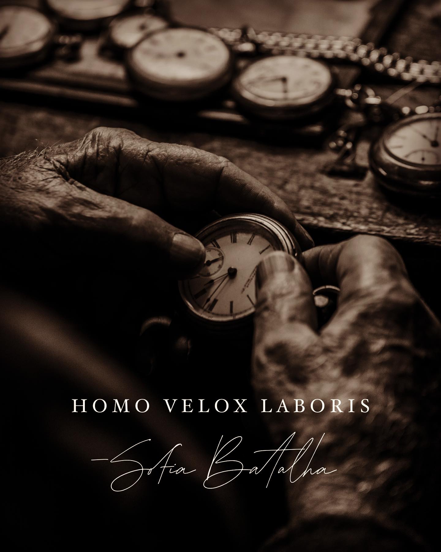 Homo Velox Laboris